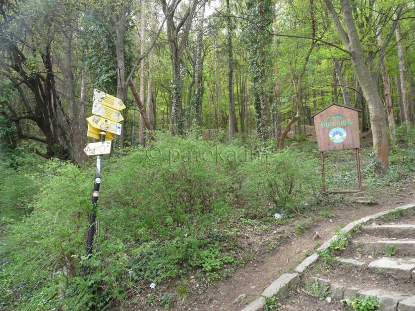 Спасиха пострадала жена на Боянския водопад