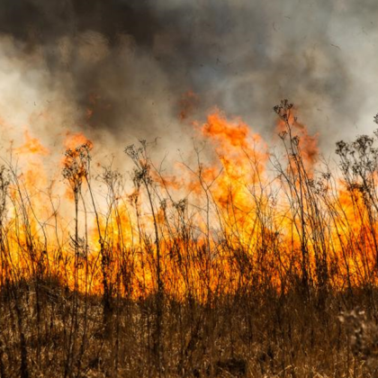 Голям пожар бушува в девинското село Стоманево Изгоряла е една