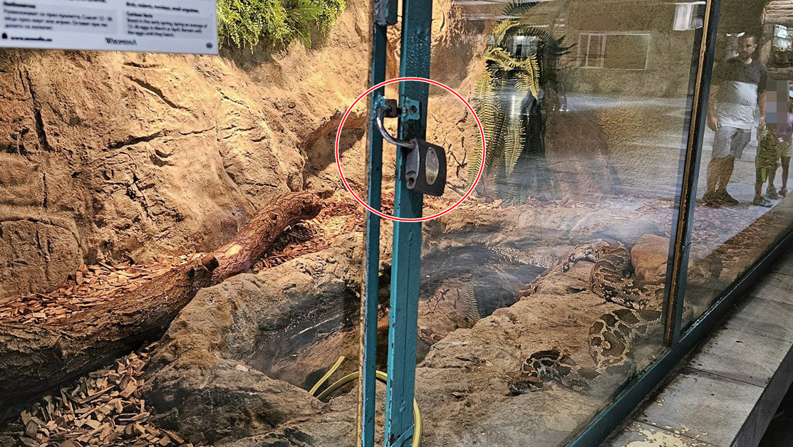 Отключен катинар и открехната врата на терариум на питон в столичния зоопарк СНИМКА