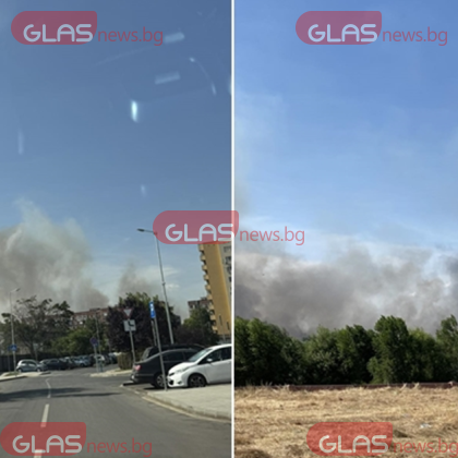 Два пожара лумнаха този следобед в Пловдив Пламнали са сухи треви