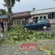 Клон се стовари върху кола в Пловдив СНИМКИ