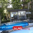 Жестокост! Отровиха куче и простреляха котка в Пловдив