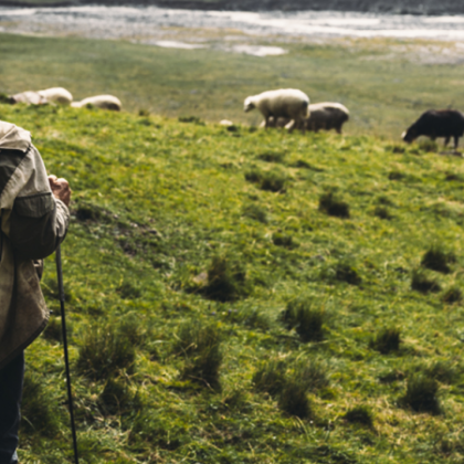 60 годишен пастир е починал в планината над Сопот Мъжът
