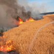 Голям пожар в Пловдивско, изгоряха 90 дка житни посеви