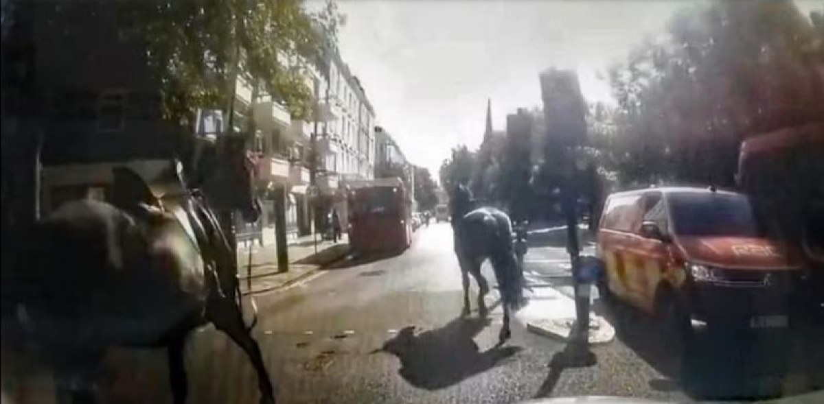 Ужасът се повтаря: военни коне избягаха и вилняха в Лондон, единият е блъснат от кола ВИДЕО