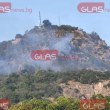 Тепе в Пловдив гори отново! Два екипа огнеборци потушават пламъците