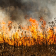 Голям пожар бушува в Бургас СНИМКИ