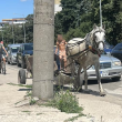 Каруца шпори по тротоар в София СНИМКА