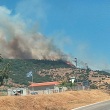 Пожар бушува на гръцки остров  СНИМКИ