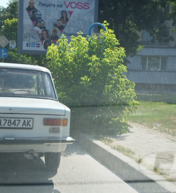 Храст скри спирка в Плевен
