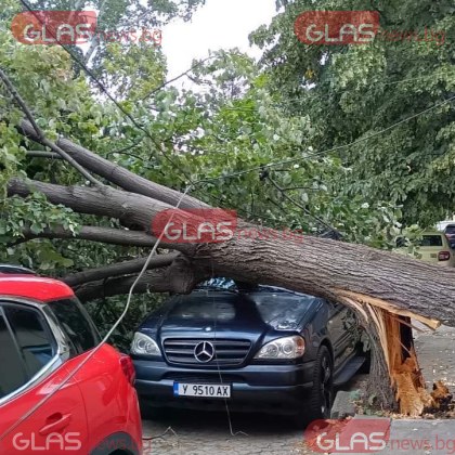 Ямболия трябва да даде курбан за здраве и оцеляване буквално