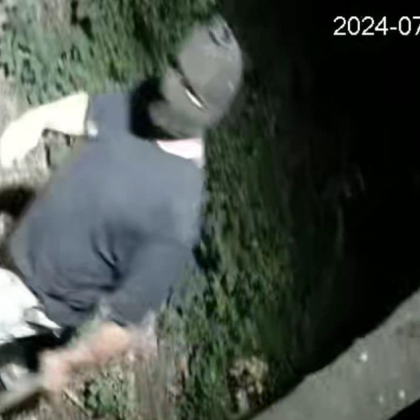 Маскиран мъж е счупил с чук три камери в парк