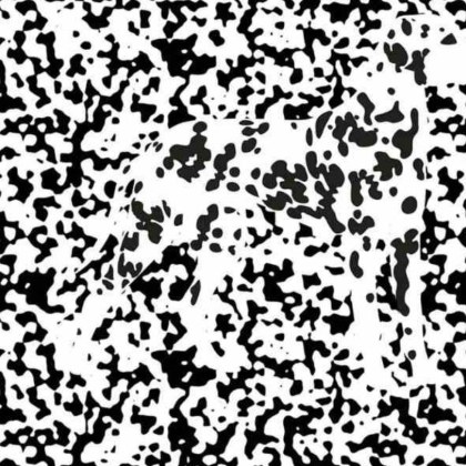 Оптичните илюзии са интересен начин да тествате мозъка си Те играят