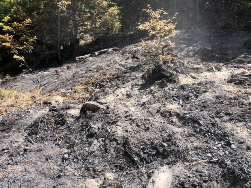 Пожар бушува в подножието на Сърнена Средна гора. Сигналът бе