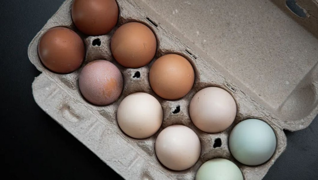 Защо яйцата са с различен цвят