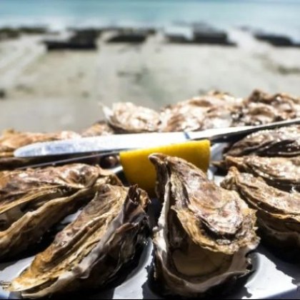 Тревожни нива на създаден от човека материал са открити от