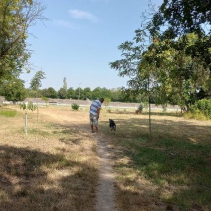 Жена от Димитровград сподели в социалните мрежи недоволството си от