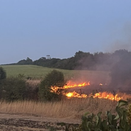 Пожар гори в района на летището в Бургас Пламъците са на