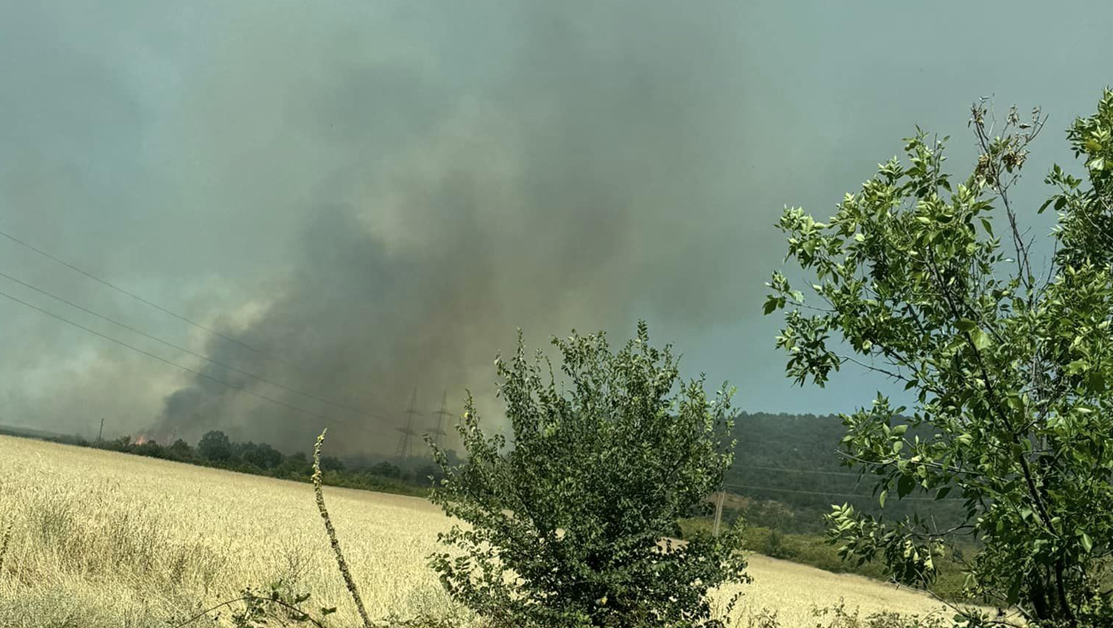 Големи пожари избухнаха в Пловдивско за минути! СНИМКИ