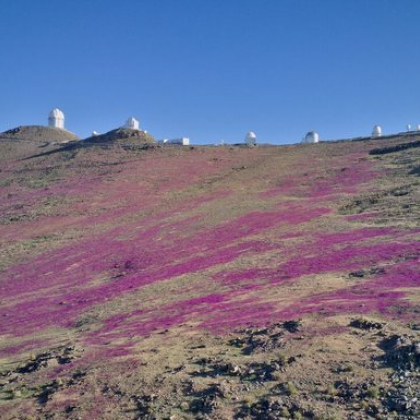 Чилийската пустиня Атакама най сухата неполярна пустиня на планетата