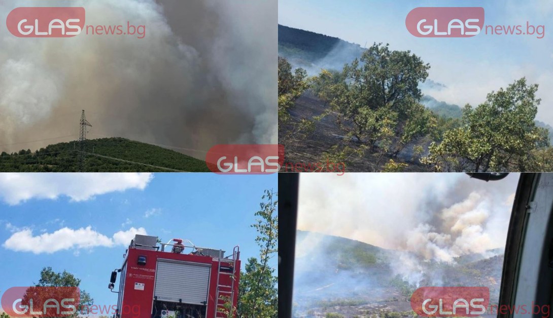 СНИМКИ показват огненото бедствие в Пловдивско, искат помощ от военните