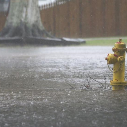Проливни дъждове причиниха хаос в Германия като се съобщава за