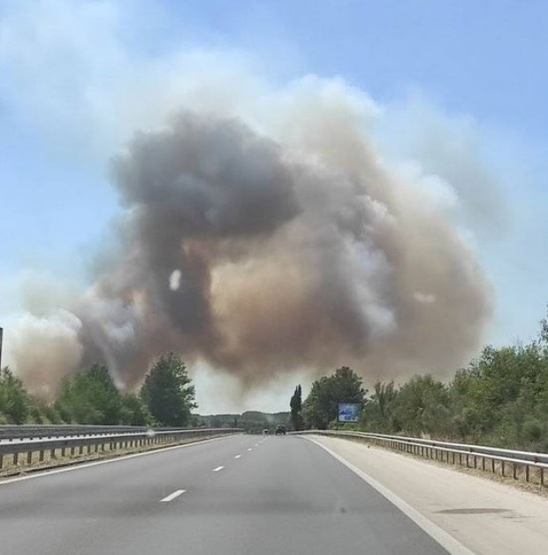 Избухна пожар и край Варна! Облаци дим се издигат в небето ВИДЕО+СНИМКИ