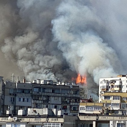 Пожарът край варненския квартал Владислав Варненчик е локализиран съобщиха от