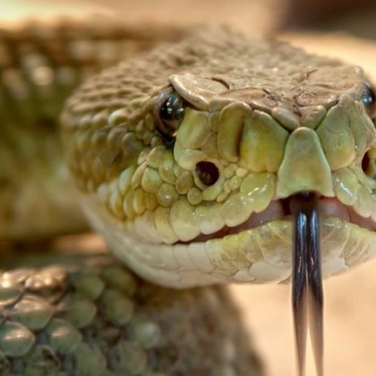 65 годишен мъж от Благоевград е транспортиран до столично заведение след