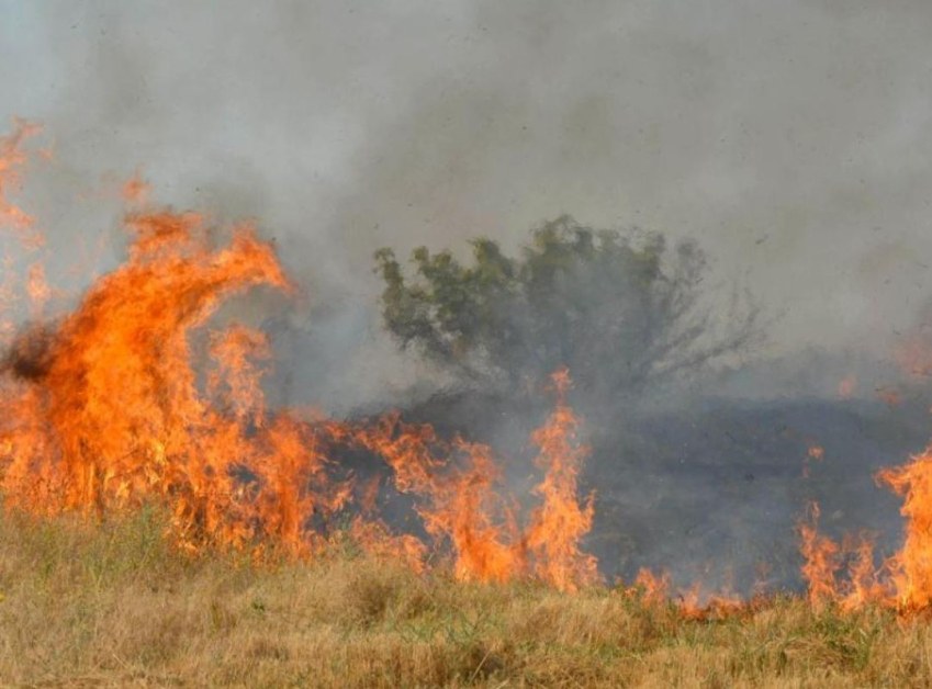 Огненият ад в Южна България: Изгоряха 13 къщи, коли и гори - стихията застрашава Турция