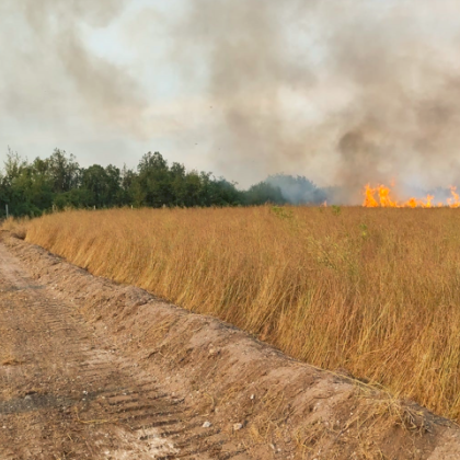 Пожарът в с Припек засега е овладян Огромни благодарности на всички