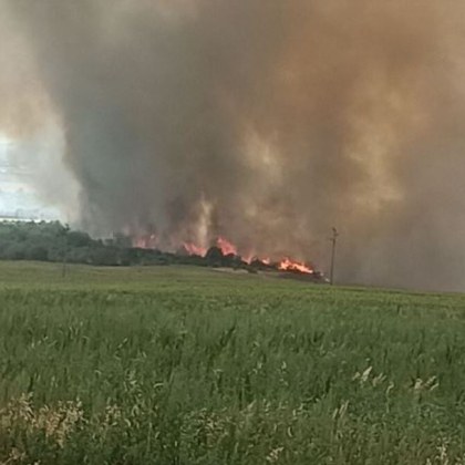 Пожар отново гори край Варна Огънят е пламнал днес край