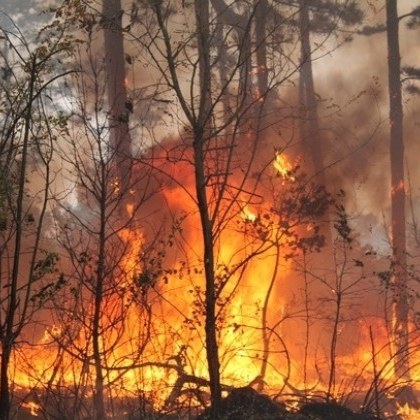 19 годишно момче от село Щит е с изгаряния след като