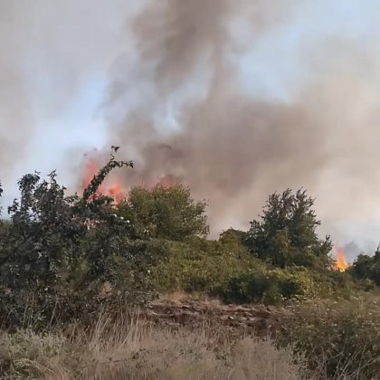 Вопъл от село Припек: Моля ви, хора, помогнете, за да не изгорим СНИМКИ
