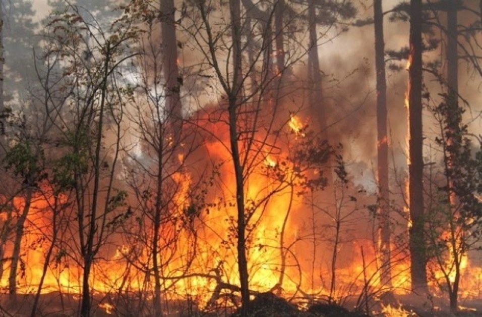 Пожарът в Свиленградско: Момче е с тежки изгаряния, опита да спаси пчелина си