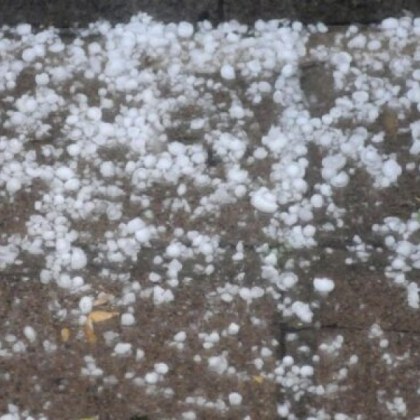 Изсипала се в късния следобед в сливополската община градушка е