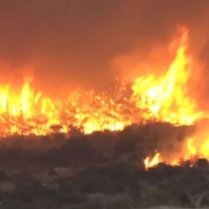 В землището на старозагорското село Арнаутито покрай жп линията на