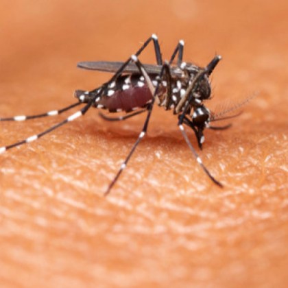 Много от нас са се сблъсквали с тази ситуация по