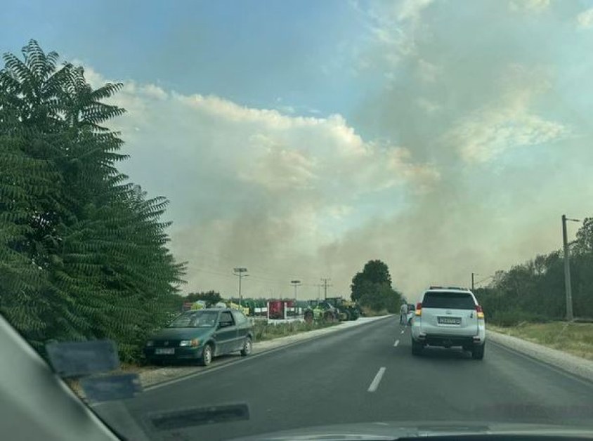 Пожар гори край ключов път в Пловдивско! Използва се обход* СНИМКА