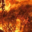 Избухна пожар край Белмекен