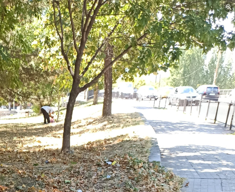 В жегата мъж полива дръвчета в Асеновград