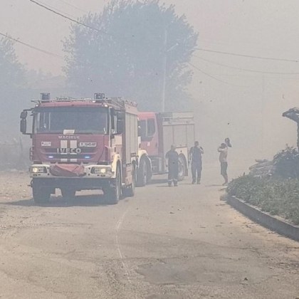 Има готовност обитателите на дома за възрастни хора в боляровското