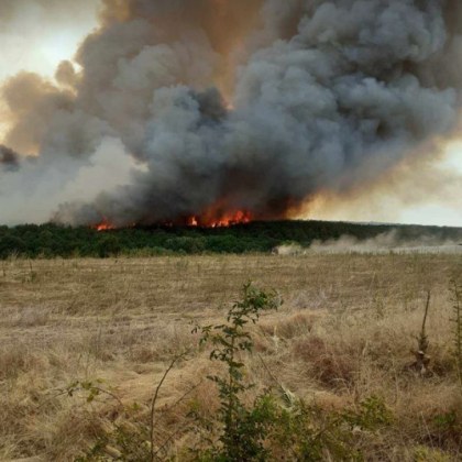 Пожарът край пазарджишкото село Априлци е тръгнал от крайните къщи