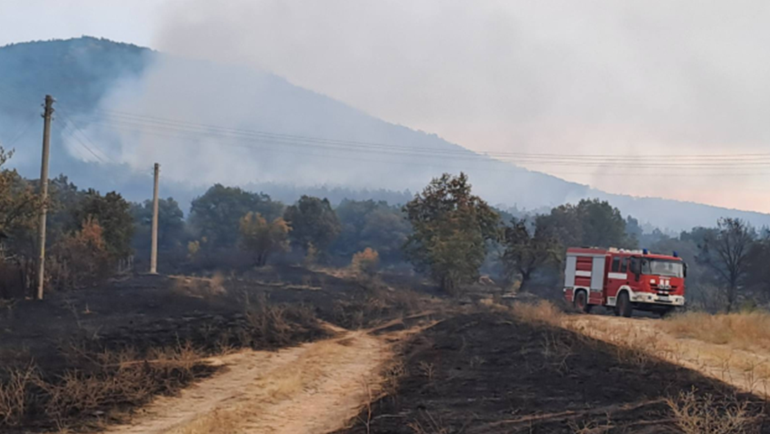 Над 200 души се включват в борбата с пожара край Отец Паисиево