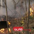 Пожар избухна в парк в град Баня