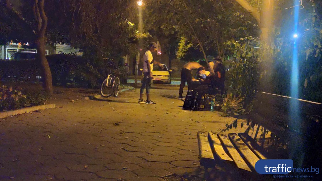 Тумба мъже превзе парк в Пловдив, прогониха останалите СНИМКИ