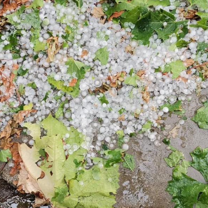 Падна градушка в село Горни Домлян става ясно от постове