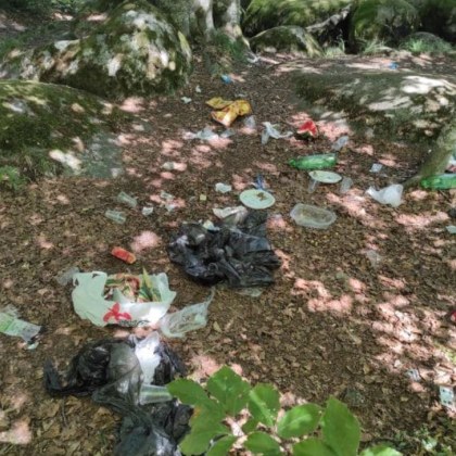 Турист се натъкна на грозна гледка във Витоша На място