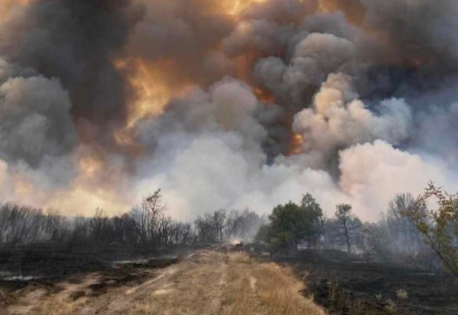 Последни данни за пожара в Пазарджишко