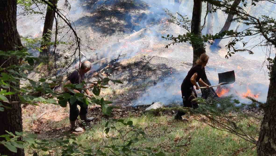 Пожар избухна в района на Беклемето в Стара планина ВИДЕО+СНИМКИ